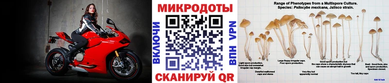 блэк спрут ссылка  Зверево  Галлюциногенные грибы Magic Shrooms 